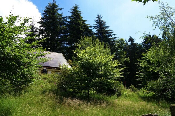 Foto van Chalet Bergweide - Vakantiehuis in Sasbachwalden - Untagged