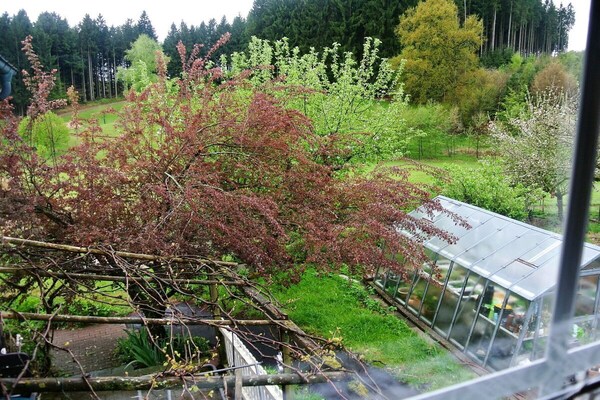 Foto van Biologische boerderij met 3 slaapkamers - Vakantiehuis in Elzach \/Heidburg - Untagged