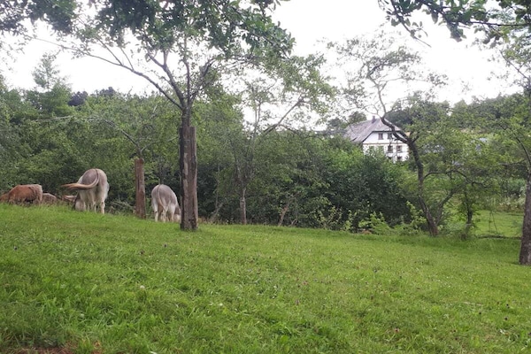 Foto van Biologische boerderij met 2 slaapkamers - Vakantiehuis in Elzach\/Heidburg - Untagged