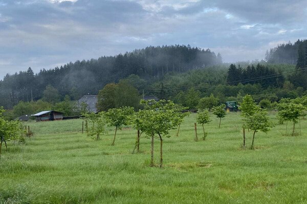 Foto van Biologische boerderij met 2 slaapkamers - Vakantiehuis in Elzach\/Heidburg - Untagged