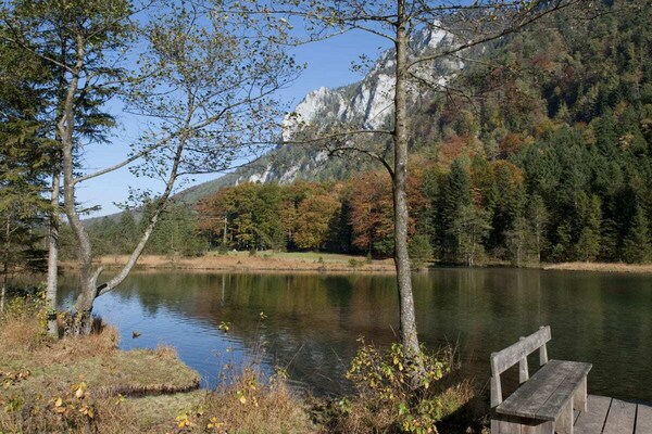 Foto van Bäckeralm bij gastenverblijf Fegg - Vakantiehuis in Inzell - Untagged