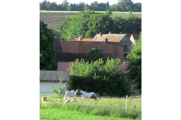 Foto van Zum Alten Späth - Vakantiehuis in Theilenhofen - Untagged