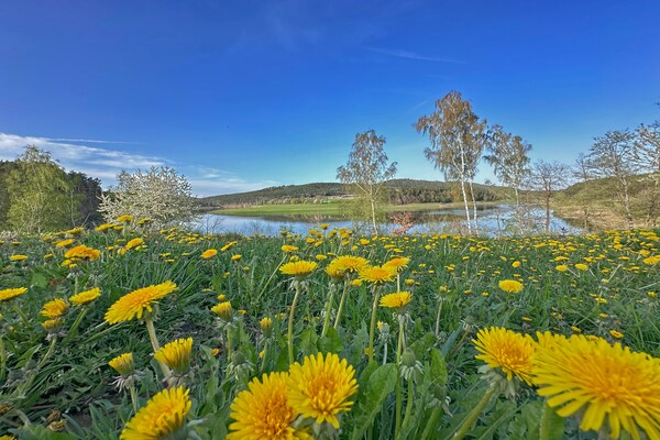 Foto van Comfort aan het meer met tuin - Vakantiehuis in Neunburg vorm Wald - ViewSummer