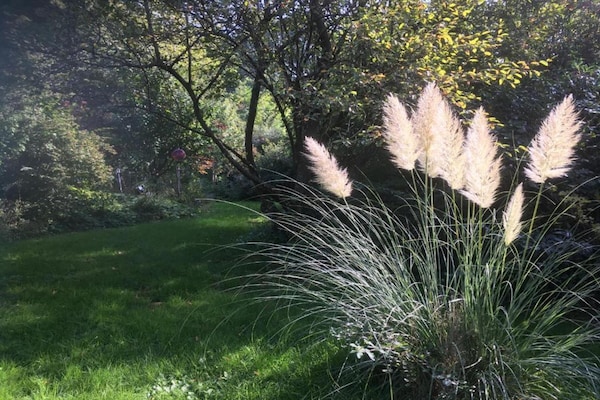 Foto van Vakantiehuis voor gezinnen in Beieren - Vakantiehuis in Waldkirchen - AreaSummer20KM