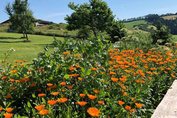 Foto van Vakantiehuis voor gezinnen in Beieren - Vakantiehuis in Waldkirchen - AreaSummer20KM