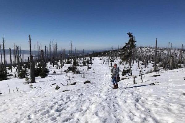 Foto van Appartement Roswitha met sauna in Freyung - Vakantiehuis in Freyung - AreaWinter5KM