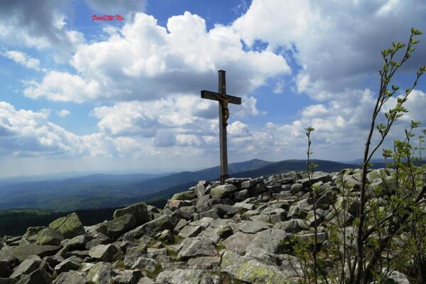 Foto van Appartement Roswitha met sauna in Freyung - Vakantiehuis in Freyung - AreaSummer5KM