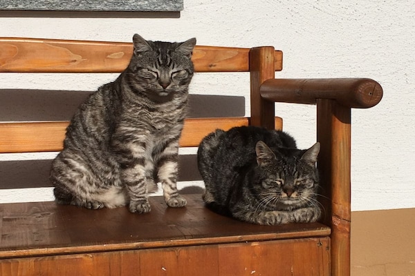 Foto van Biologische boerderij met 2 slaapkamers - Vakantiehuis in Wegscheid - Untagged
