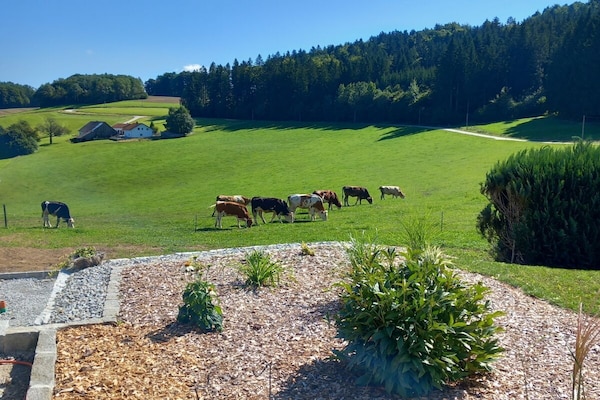 Foto van Biologische boerderij met 2 slaapkamers - Vakantiehuis in Wegscheid - Untagged