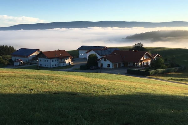 Foto van Biologische boerderij met 2 slaapkamers - Vakantiehuis in Wegscheid - Untagged