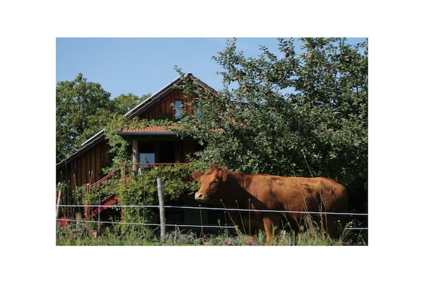 Foto van Blauwe paalwoning - Vakantiehuis in Kösslarn - Untagged