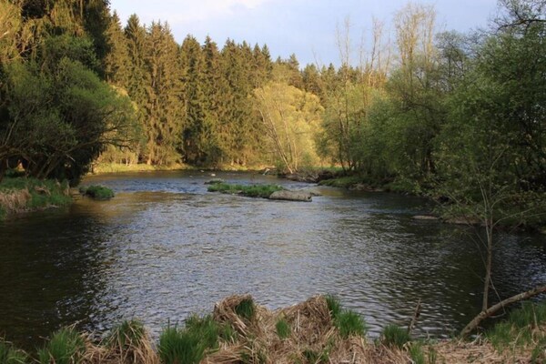 Foto van Gezellig appartement vlakbij de rivier in Regen, Beieren - AreaSummer20KM