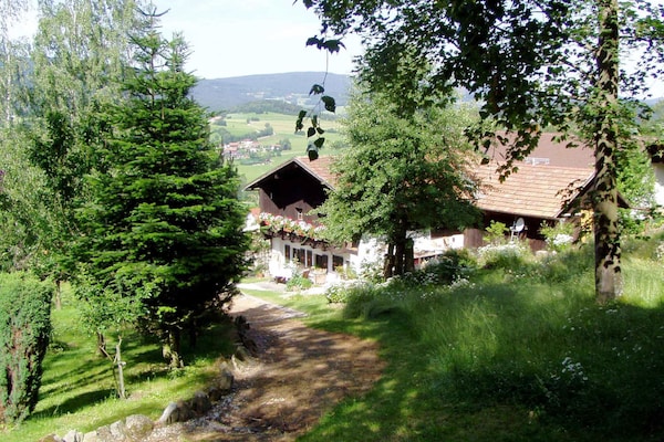 Foto van Vakantiehuis in Kollnburg met tuin - Vakantiehuis in Kollnburg - ExteriorSummer