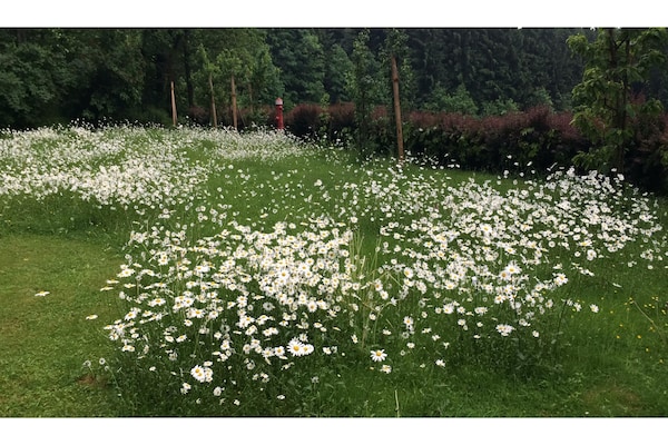 Foto van Vakantiehuis in Kollnburg met tuin - Vakantiehuis in Kollnburg - GardenSummer