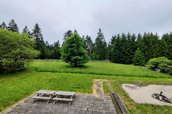 Foto van Thüringer Woudhuis - Vakantiehuis in Eisfeld - TerraceBalcony