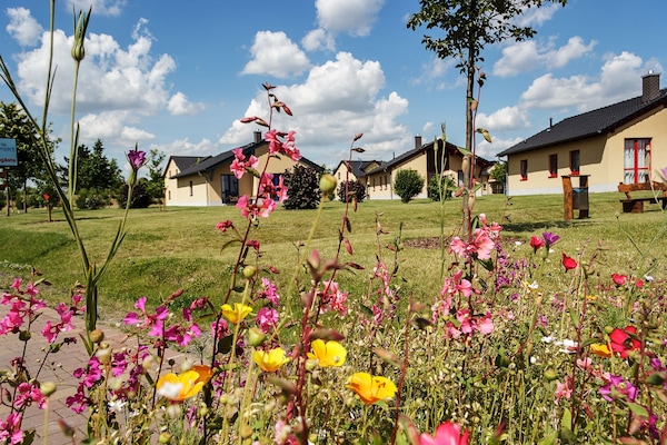 Foto van Seepark Auenhain aan de Markkleeberger See in Markkleeberg - ParkFacilities