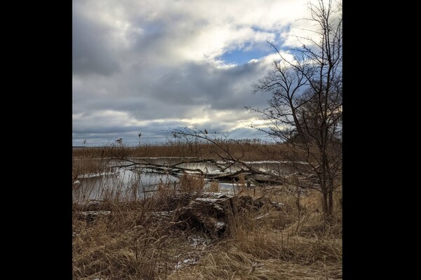 Foto van Chalet in Wendorf - Vakantiehuis in Wendorf - AreaSummer5KM
