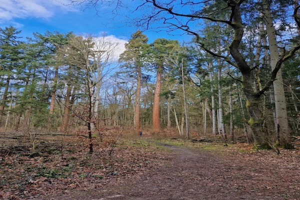 Foto van Chalet in Wendorf - Vakantiehuis in Wendorf - AreaSummer5KM