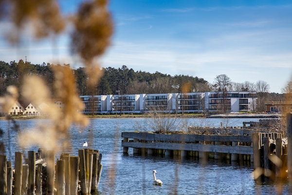 Foto van Appartementen in het Maremuritz Yachthafen Resort - Vakantiehuis in Waren (Müritz) - ExteriorSummer