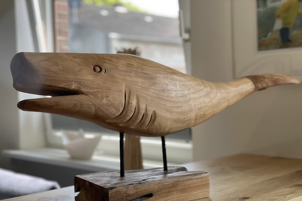 Foto van Vakantieappartement in Wyk-Boldixum op Föhr - Vakantiehuis in Wyk-Boldixum - AreaSummer5KM