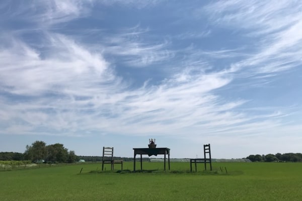 Foto van Vakantiewoning, Wieck am Darß - Vakantiehuis in Wieck am Darß - AreaSummer1KM