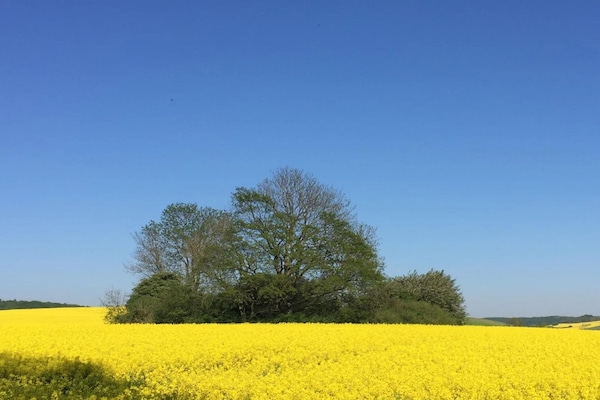 Foto van Vakantieappartementen Blue House, Putbus - Vakantiehuis in Putbus - AreaSummer5KM