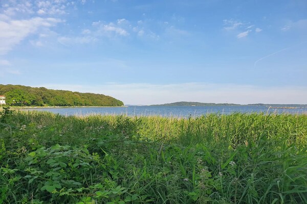 Foto van Vakantieappartementen Blue House, Putbus - Vakantiehuis in Putbus - AreaSummer5KM