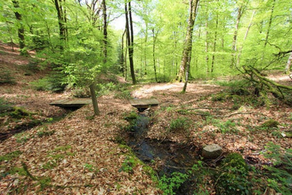 Foto van Huis in de Vogezen bij Kasteel Lichtenberg - Vakantiehuis in Reipertswiller - AreaSummer1KM