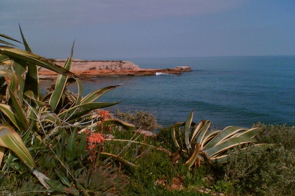 Foto van Casa Salida del Sol - Vakantiehuis in Vinaros (Castellon) - Untagged