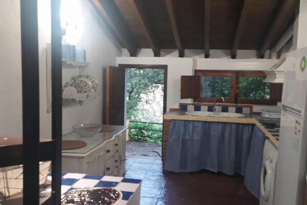 Foto van Boerderij bij Iznajar Meer - Vakantiehuis in Fuentes de Cesna - Kitchen