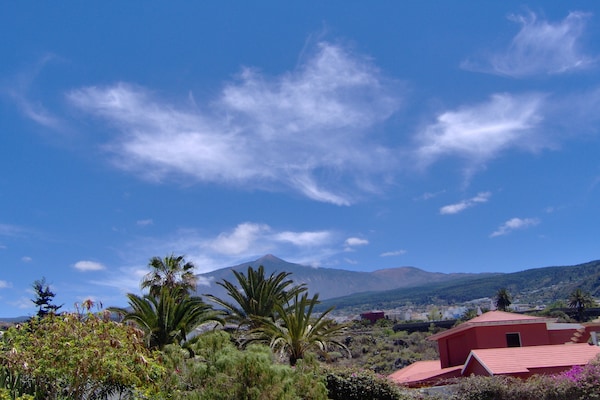 Foto van Appartement op Tenerife, alleen voor volwassenen. - Vakantiehuis in Icod de los Vinos, Tenerife - AreaSummer20KM