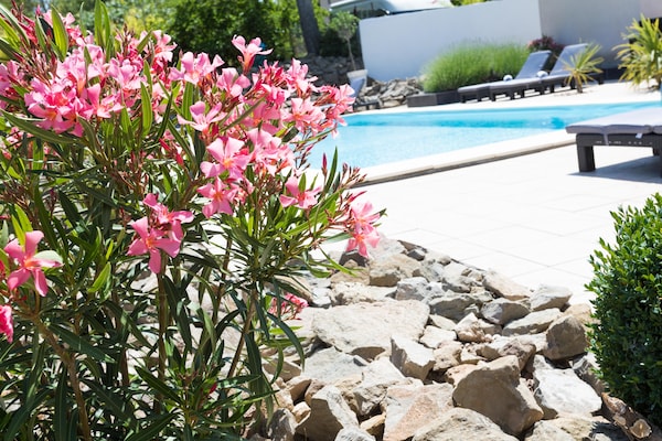 Foto van Villa in Castelnau d'Aude met Zwembad - Vakantiehuis in Castelnau d'Aude - Ambiance