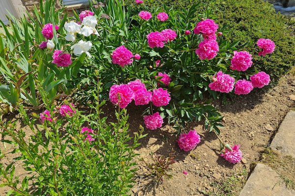 Foto van Vakantiehuis Vault-de-Lugny bij bos - Vakantiehuis in Vault de Lugny - GardenSummer