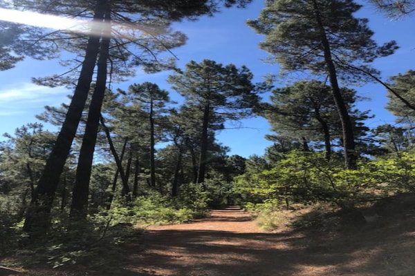 Foto van Authentieke stenen Mas Retreat - Vakantiehuis in LES ASSIONS - AreaSummer20KM
