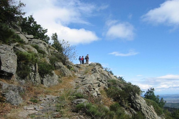 Foto van Authentieke stenen Mas Retreat - Vakantiehuis in LES ASSIONS - AreaSummer20KM