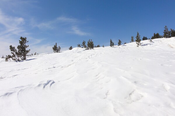 Foto van Chalet met tuin in de Pyreneeën - Vakantiehuis in Roquefort de Sault - AreaWinter20KM