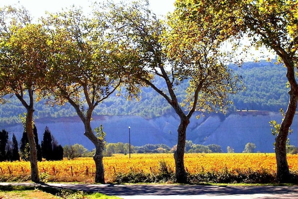 Foto van Begane grond in het petit domaine - Vakantiehuis in Ferrals les Corbieres - Untagged