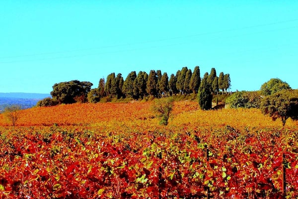 Foto van Begane grond in het petit domaine - Vakantiehuis in Ferrals les Corbieres - Untagged