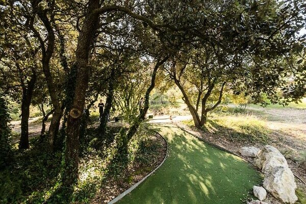 Foto van Appartement in Provence met verwarmd zwembad - Vakantiehuis in MALLEMORT - 