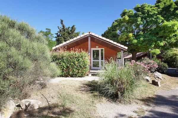 Foto van Chalet in Provence met Schaduwrijke Pijnbomen - Vakantiehuis in Carnoux-en-Provence - ExteriorSummer