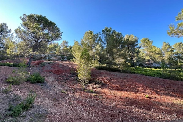 Foto van Gezellig landhuis in Les Alpilles - Vakantiehuis in Paradou - AreaSummer20KM