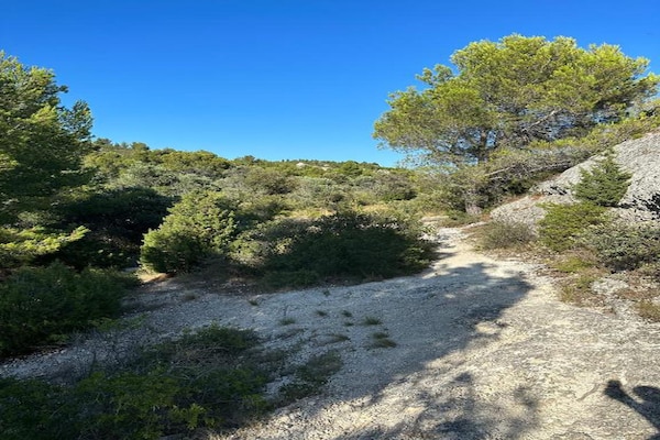 Foto van Gezellig landhuis in Les Alpilles - Vakantiehuis in Paradou - AreaSummer20KM