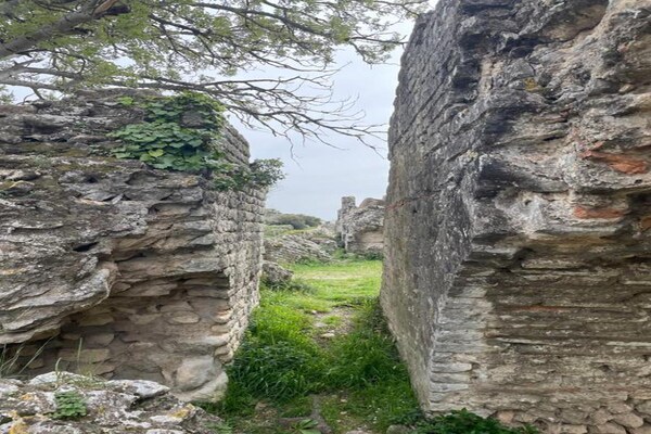 Foto van Gezellig landhuis in Les Alpilles - Vakantiehuis in Paradou - AreaSummer20KM