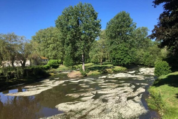 Foto van Charme en comfort in de Dordogne - Vakantiehuis in St. Medard D'excideuil - AreaSummer20KM