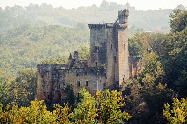 Foto van Vakantiehuis bij Bergerac Wijngaarden - Vakantiehuis in Sigoulès - AreaSummer20KM