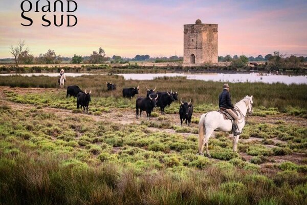 Foto van Appartement in Grau-du-Roi vlakbij het strand - Vakantiehuis in Le Grau-du-Roi - Untagged