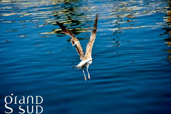Foto van Appartement in Grau-du-Roi vlakbij het strand - Vakantiehuis in Le Grau-du-Roi - Untagged