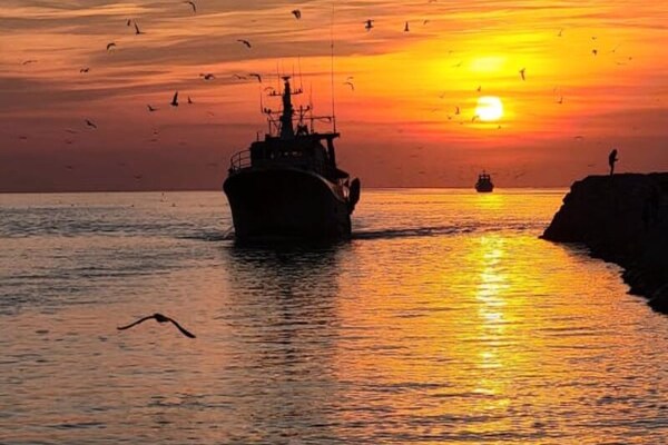 Foto van Appartementen voor 4 personen - Vakantiehuis in Le Grau-du-Roi - Untagged