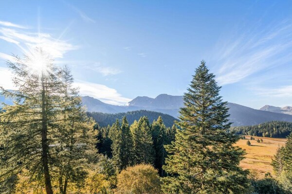 Foto van Alpenschuilplaats met balkon - Vakantiehuis in Chamrousse - AreaSummer5KM