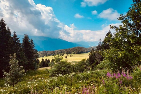 Foto van Alpenschuilplaats met balkon - Vakantiehuis in Chamrousse - AreaSummer5KM